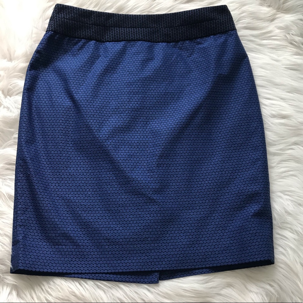 The Limited skirt
